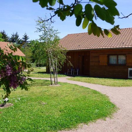 ויירזון Le Chalet De La Foret Hotel 3 Etoiles Et Restaurant מראה חיצוני תמונה